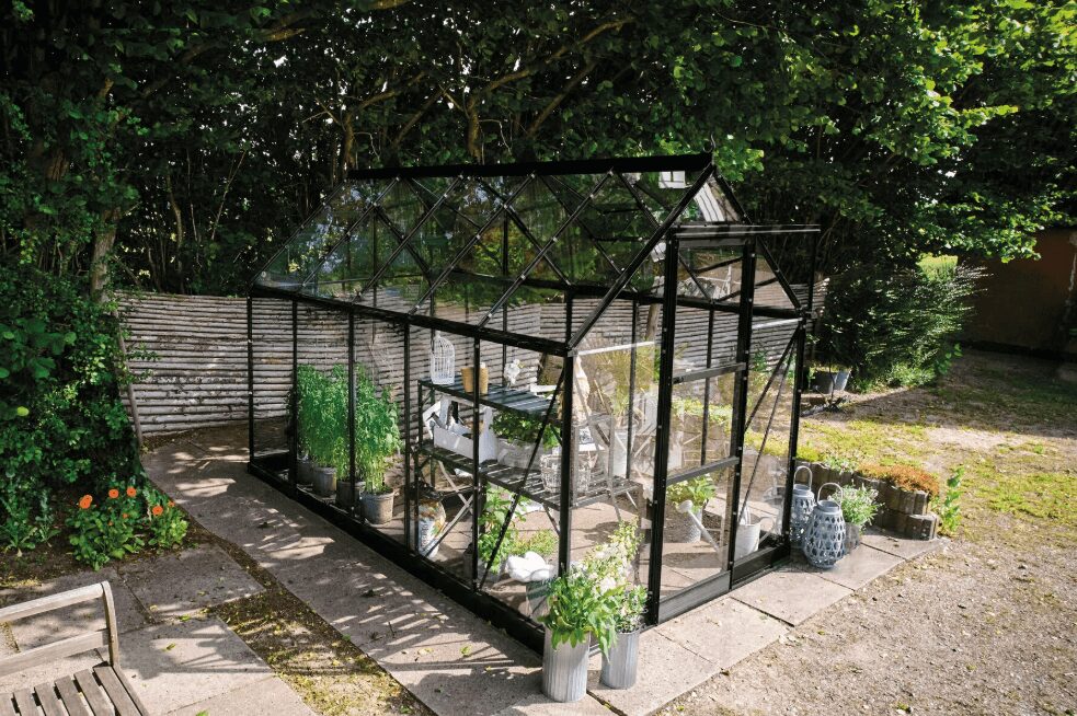 'New' Halls Icon 6x10